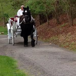 Meet your Posher, Cathy